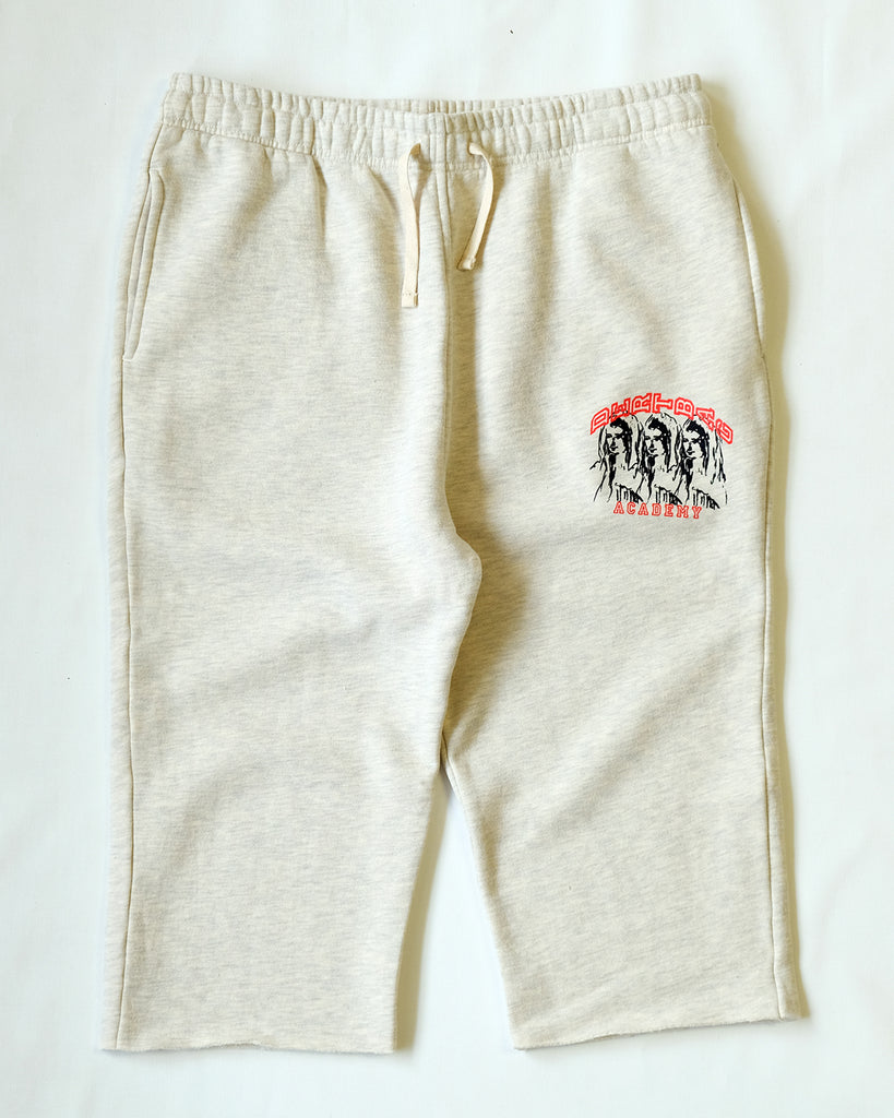 3/4 Academy Sweat Shorts (XL)