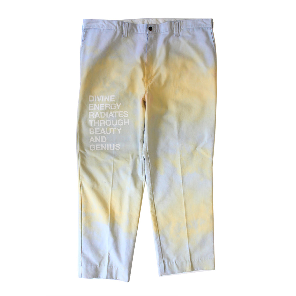 DIVINE ENERGY Workwear Pants 42x32