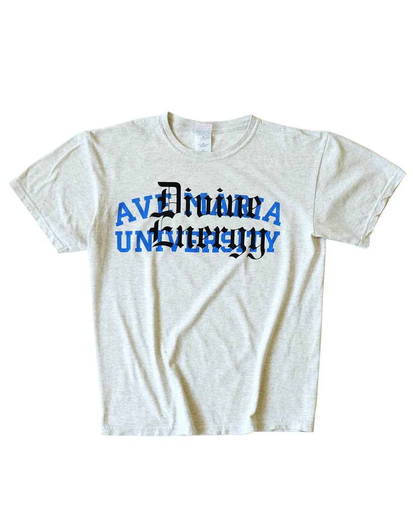 Prototype Ava Maria University Divine Energy Tee (Medium)
